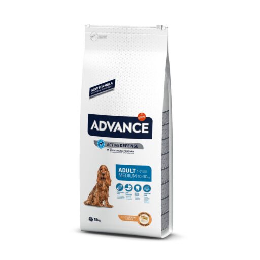 Advance Medium Adult