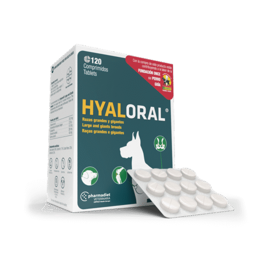 Hyaloral Giant N120