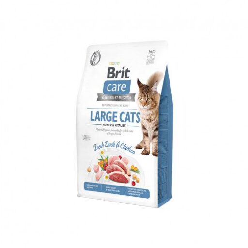 Brit Care Cat GF Large cats Power&Vitality s.m. katėms