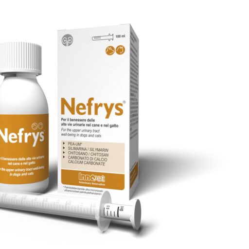 Nefrys 100 ml