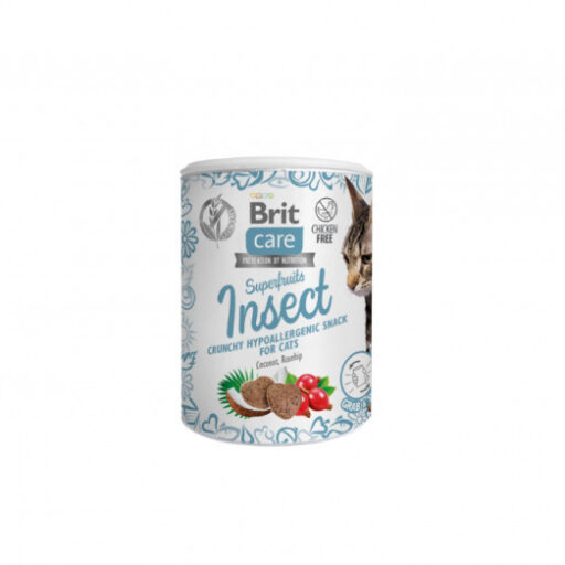 Brit Care Cat skanėstas Superfruits Insect 100g