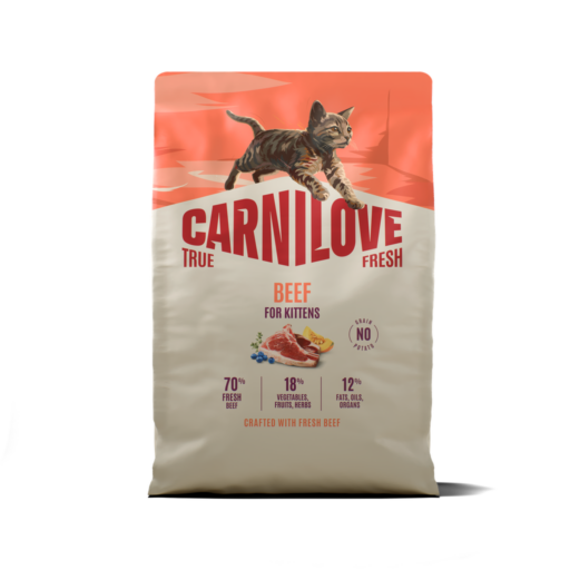 CARNILOVE TRUE FRESH Cat Dry Beef for Kittens sausas pašaras kačiukams