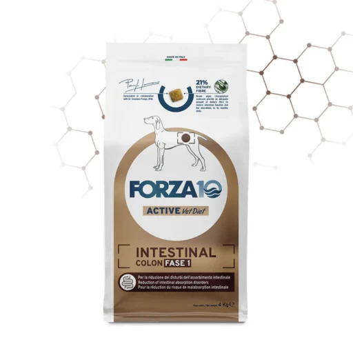 FORZA10 VetDiet INTESTINAL COLON Fase 1 All Breed šunims