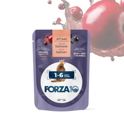 FORZA10 Maintenance Adult konservai katėms 1-6 metų su lašiša