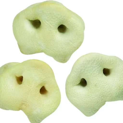 ,Nature" Snack skanėstai kiaulės nosis balta, 34 g