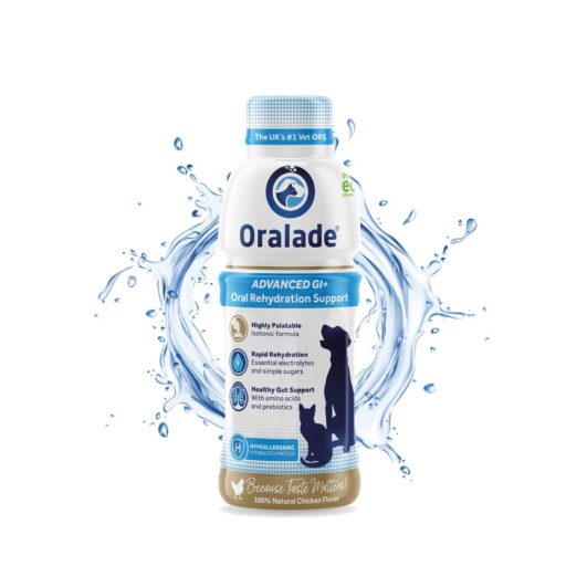 ORALADE GI izotoninis gėrimas 500ml