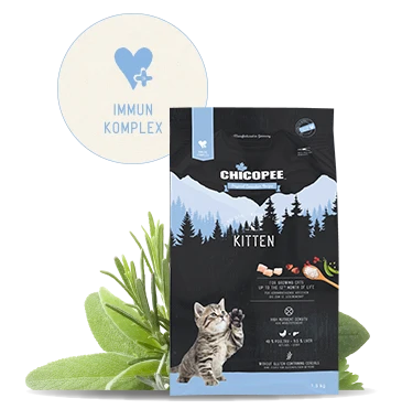 Chicopee - HNL Holistic Line Kitten