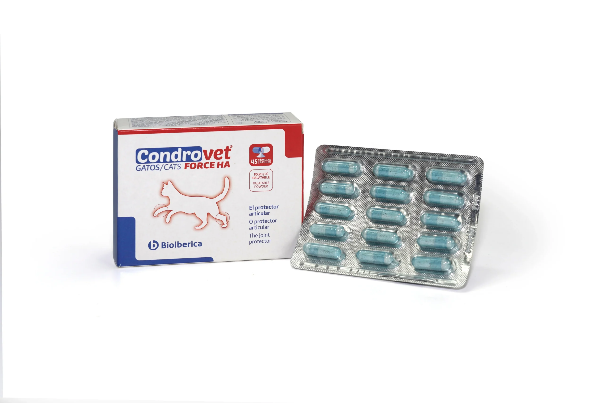 condrovet-force-ha-gatos-45