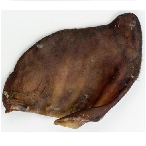 ALPHA SPIRIT PORK EAR XL kiaulių ausys 30vnt