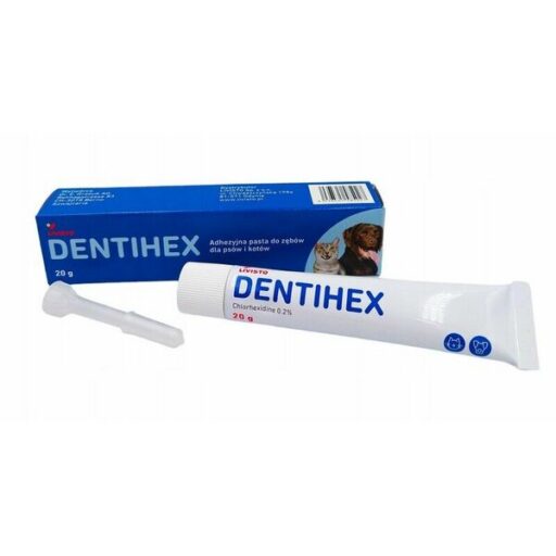 DENTIHEX dantenų gelis 20g