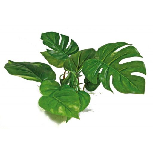 AMTRA ANUBIAS plastikinis augalas