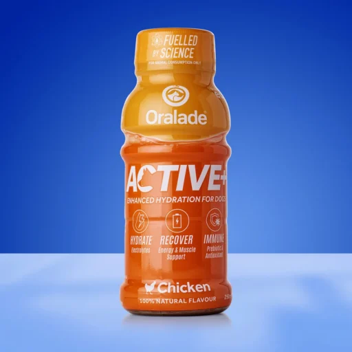ORALADE ACTIVE+ VIŠTIENOS SKONIO 250ml