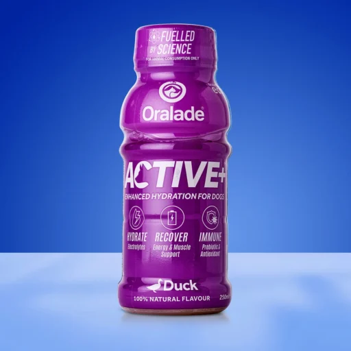 ORALADE ACTIVE+ ANTIENOS SKONIO 250ml