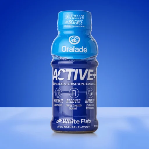 ORALADE ACTIVE+ ŽUVIES SKONIO 250ml