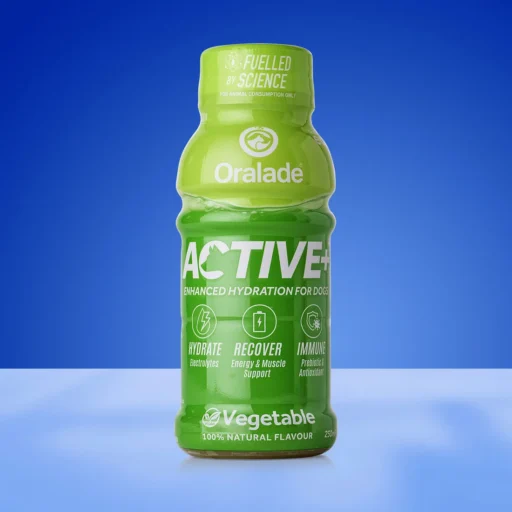 ORALADE ACTIVE+ DARŽOVIŲ SKONIO 250ml