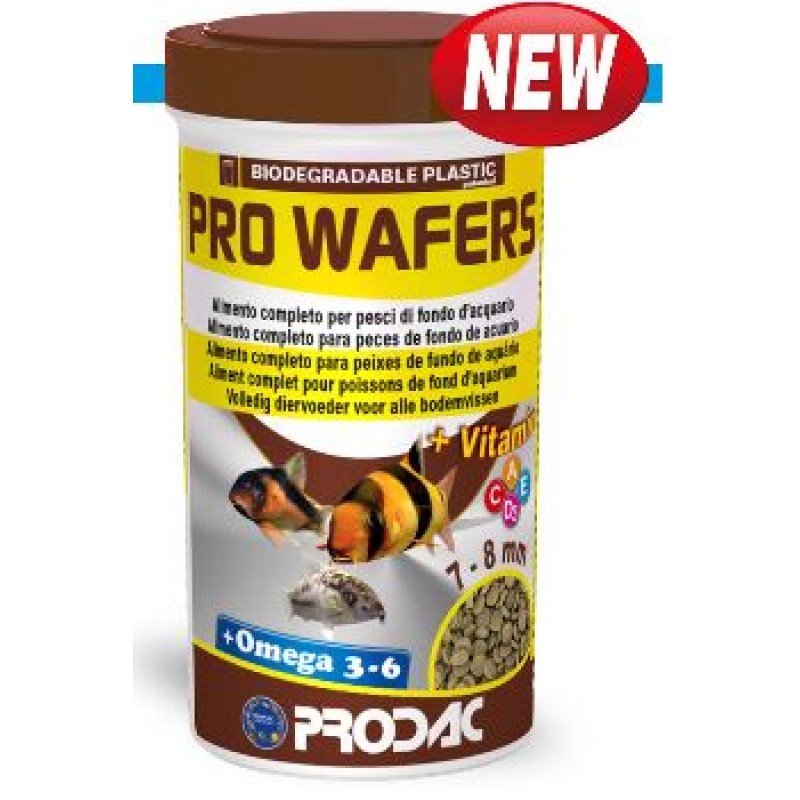 pw100.1-800x800