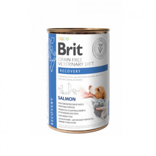 Brit GF Veterinary Diets konservuotas pašaras šunims ir katėms Recovery