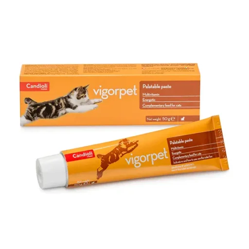 Candioli Vigorpet vitamininė-energetinė pasta katėms 50g