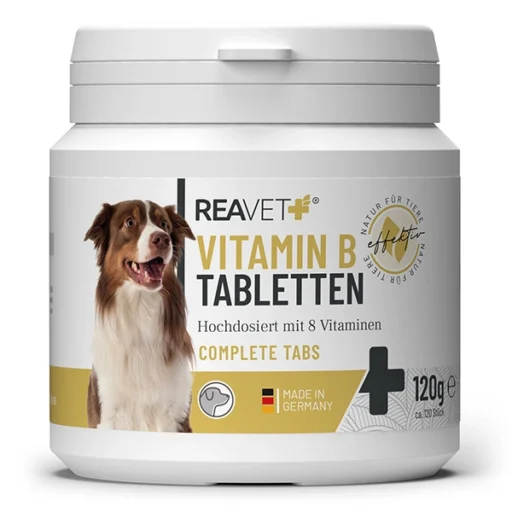 ReaVET vitamino B komplekso tabletės šunims, N120
